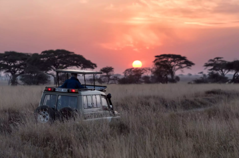 https://thesilkroutes.com/wp-content/uploads/2024/03/African-Safari-768x509.png